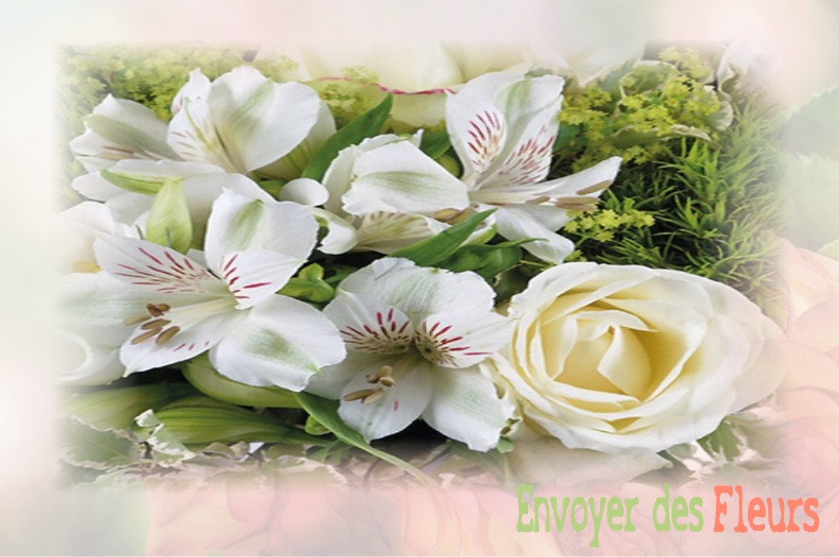 envoyer des fleurs à à DOMMARTIN-LA-MONTAGNE