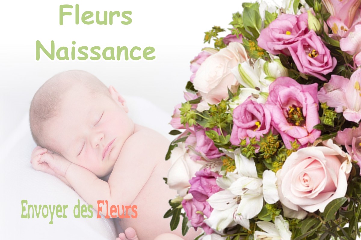 lIVRAISON FLEURS NAISSANCE à DOMMARTIN-LA-MONTAGNE